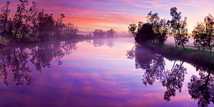 2560x1600 Landscape lake tree sunlight sunshine tree forest pink wallpaper