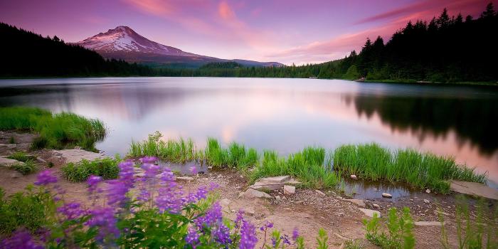 2560x1600 Free download Beautiful Pink Landscape Nature HD Wallpaper