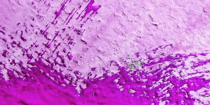 1000x1478 900+ Purple Background Images: Download HD Backgrounds on Unsplash