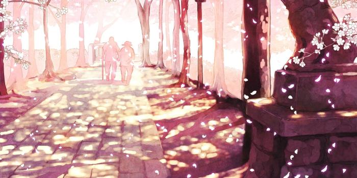 1682x1124 Blossoms, cherry, furai, original, petals, scenic, tree, HD