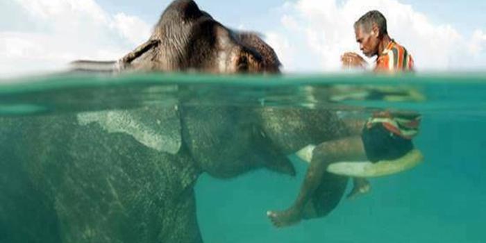 1440x1280 AMAZING THAILAND wallpaper by PSJ_10 - b8 - Free on ZEDGE™