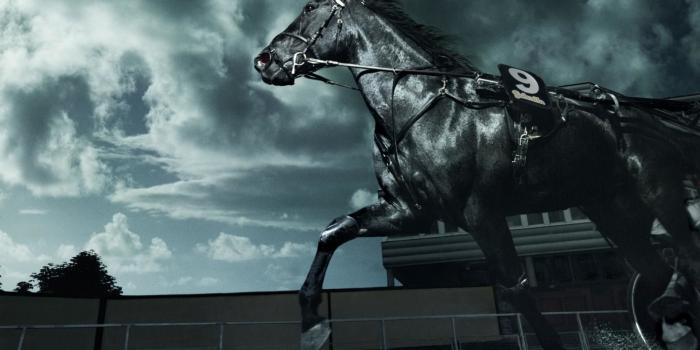 1920x1080 60+ Dark Horse Wallpapers on WallpaperPlay