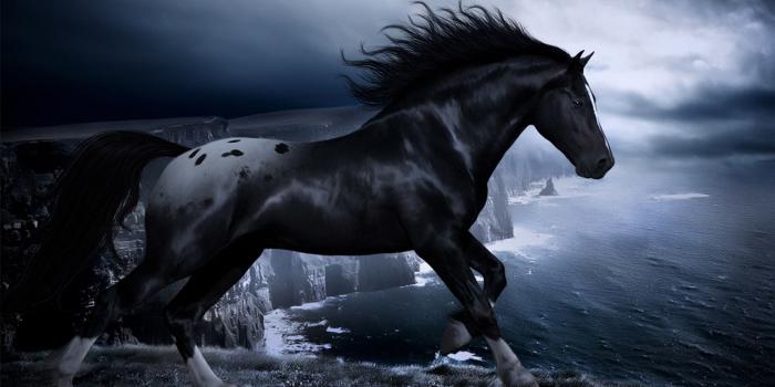 1900x1373 Best 60+ Darkhorse Wallpaper on HipWallpaper | Darkhorse Wallpaper,