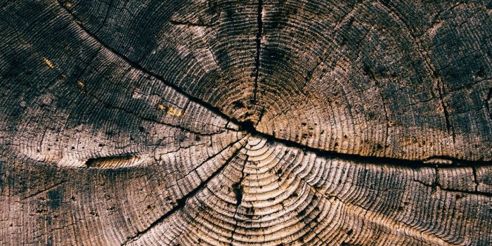 1125x2436 Vq72 Wood Line Texture Old Dark Pattern - Iphone Xs Max Wood, Hd