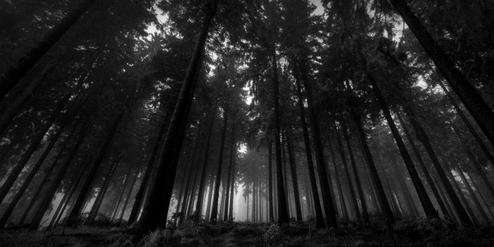 1920x1200 79+ Dark Wood Wallpapers on WallpaperPlay