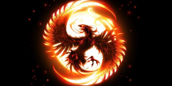 2560x1600 HD Phoenix Wallpapers - Top Free HD Phoenix Backgrounds