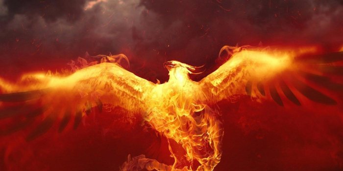 1920x1080 1920x1080 phoenix wallpaper free hd widescreen JPG 237 kB