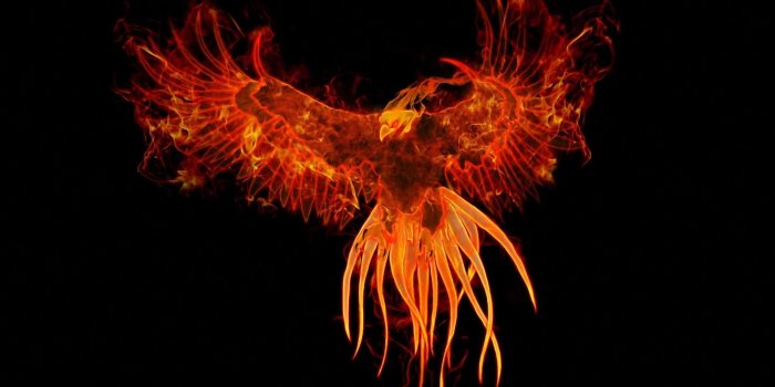 2560x1440 Phoenix Bird HD Wallpaper (75+ images)