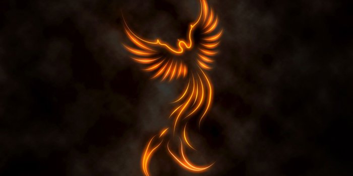 1680x1050 Fire Phoenix Wallpapers - Top Free Fire Phoenix Backgrounds