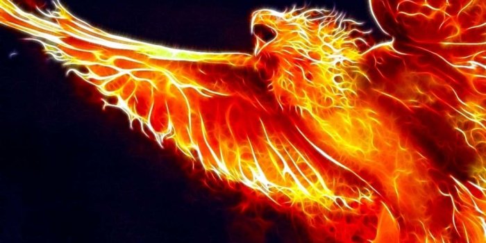 1280x1024 41+] Phoenix Bird HD Wallpaper on WallpaperSafari