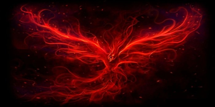 1920x1080 Black Phoenix Wallpapers - Top Free Black Phoenix Backgrounds