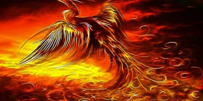 1920x1200 Phoenix Bird Wallpapers