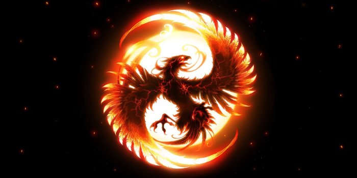 1920x1200 Phoenix Bird Wallpaper #F84RAZO - Picserio.com