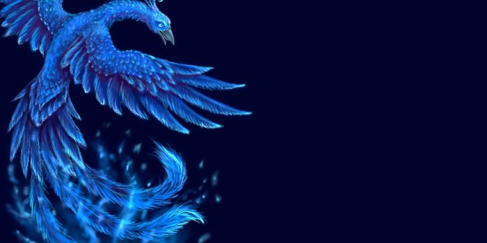 1920x1200 Phoenix Bird Wallpapers Free Download - WallpaperHD.wiki