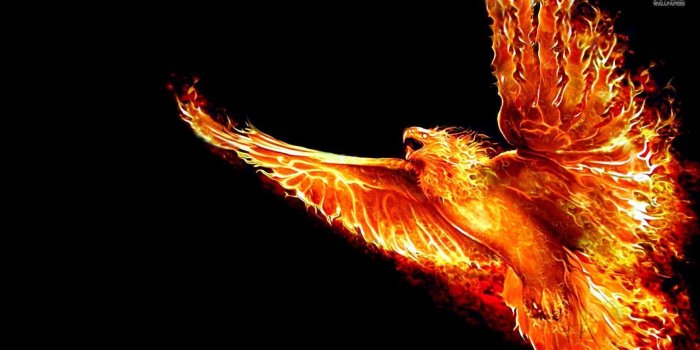 1920x1080 Phoenix Wallpaper - HD Wallpapers