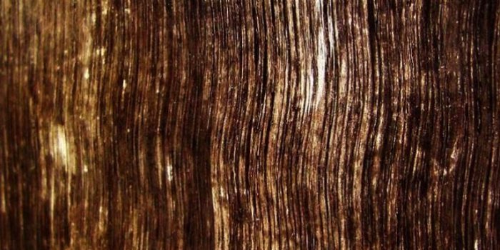 768x1024 Free download Dark Wood Grain iPad Wallpaper Download iPhone
