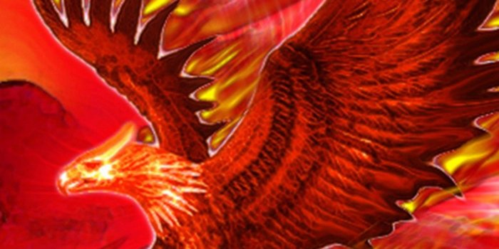 1080x1920 W4YOO73 Phoenix Bird Wallpaper 1080x1920 - Picserio.com