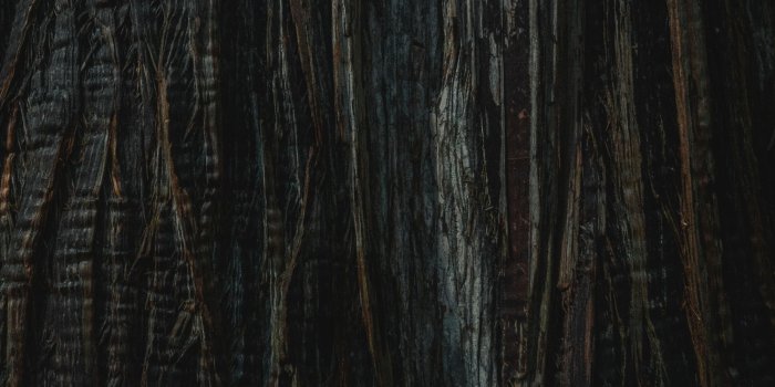 2726x3408 900+ Wood Background Images: Download HD Backgrounds on Unsplash