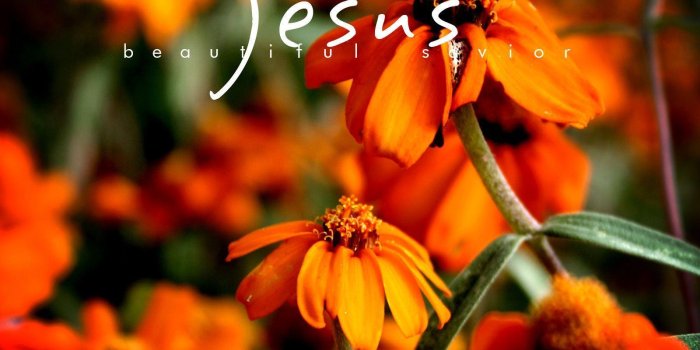 1600x1200 Beautiful Pictures Of Jesus Wallpapers