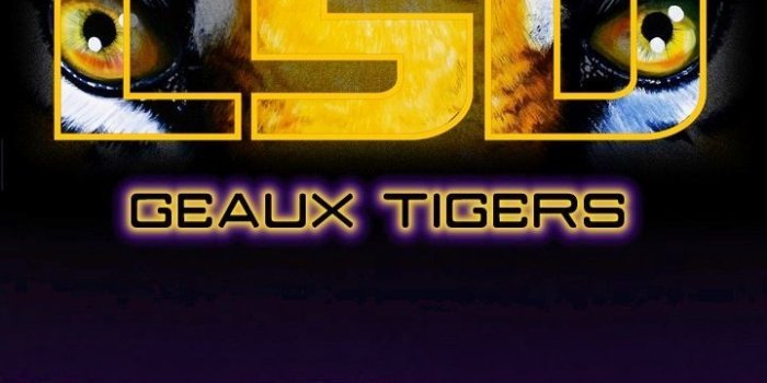 720x1280 LSU TIGERS!! | Lsu tigers football, Lsu tigers, Lsu football