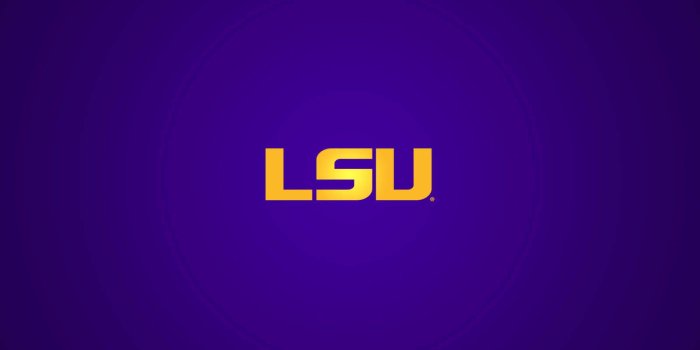 1600x1200 Best 26+ LSU Backgrounds on HipWallpaper | LSU Football Wallpaper