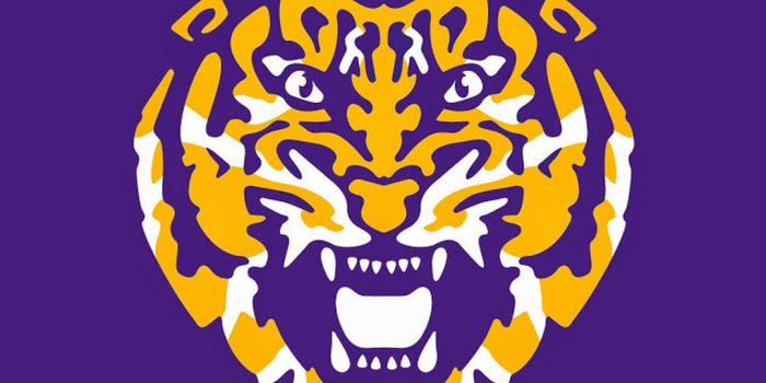1080x1920 Lsu Wallpaper HD (64+ images)