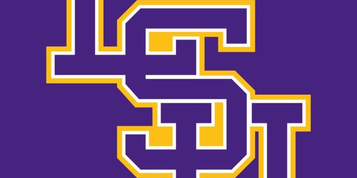 1080x1920 Lsu Football Wallpaper 2017 ·① WallpaperTag
