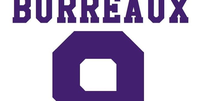 728x1294 HD wallpaper: NCAA, LSU Tigers football, American football, Joe