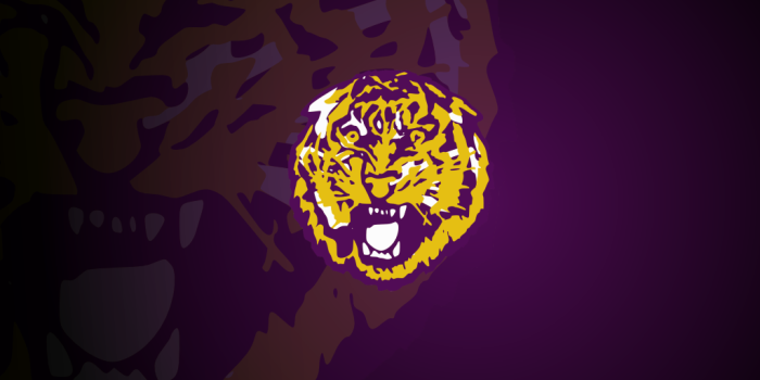 1024x768 Free download Lsu Tigers HD Wallpapers Desk Wallpapers [1024x768