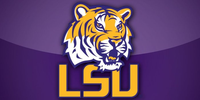 1024x1024 Best 26+ LSU Backgrounds on HipWallpaper | LSU Football Wallpaper