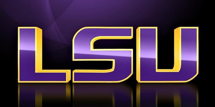 1920x1080 LSU wallpaper | 1920x1080 | #71233