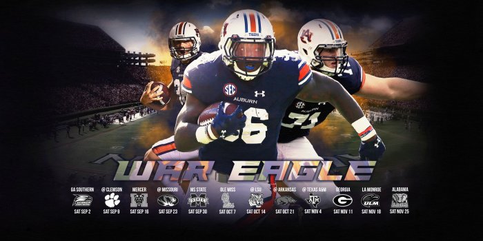 2560x1440 Lsu Football Wallpaper 2018 (56+ pictures)
