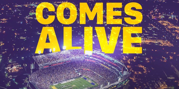 1080x1920 LSU Wallpapers And Backgrounds - Picserio.com