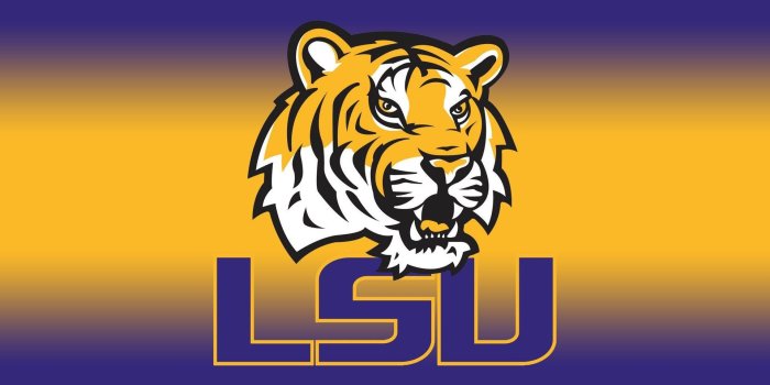 1920x1200 LSU Tigers Wallpapers Hd For Computer Desktop Background