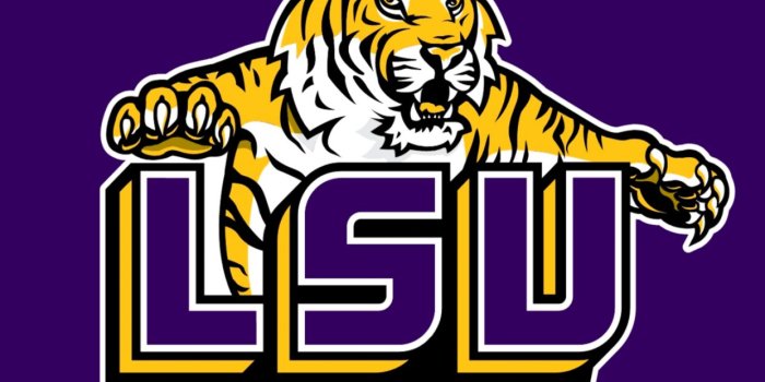 1242x952 Lsu Tigers Football Wallpaper | Free Hd Wallpapers