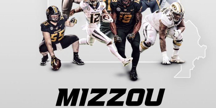1224x2208 Mizzou Wallpapers - University of Missouri Athletics