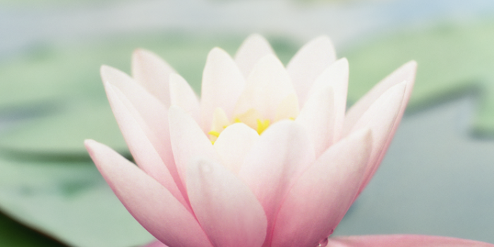 744x1392 Download All Of The New iOS 7 Wallpapers Here | macmixing