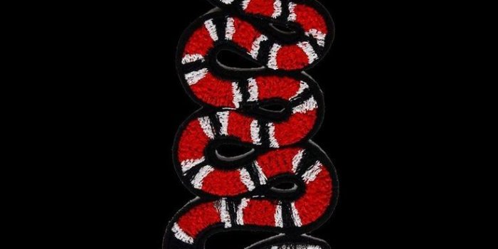 736x1308 Download Wallpaper - Hd Gucci, Hd Wallpapers & backgrounds