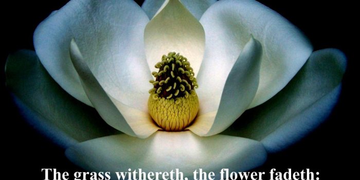 1024x768 Free Christian Wallpapers - Christian Desktop Backgrounds