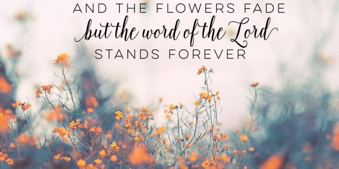 1136x757 Bible Verse Laptop Wallpapers - Top Free Bible Verse Laptop