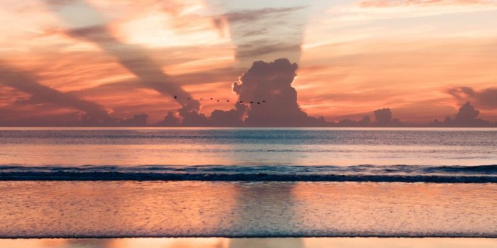 1080x1920 The Word Of God iPhone Wallpaper - iDrop News