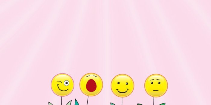 1024x768 Smiley flowers on pink background- desktop wallpaper