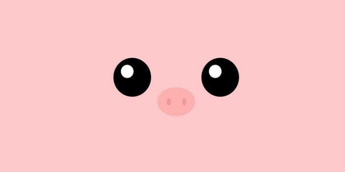 1080x1920 Piggy Wallpaper ·① WallpaperTag