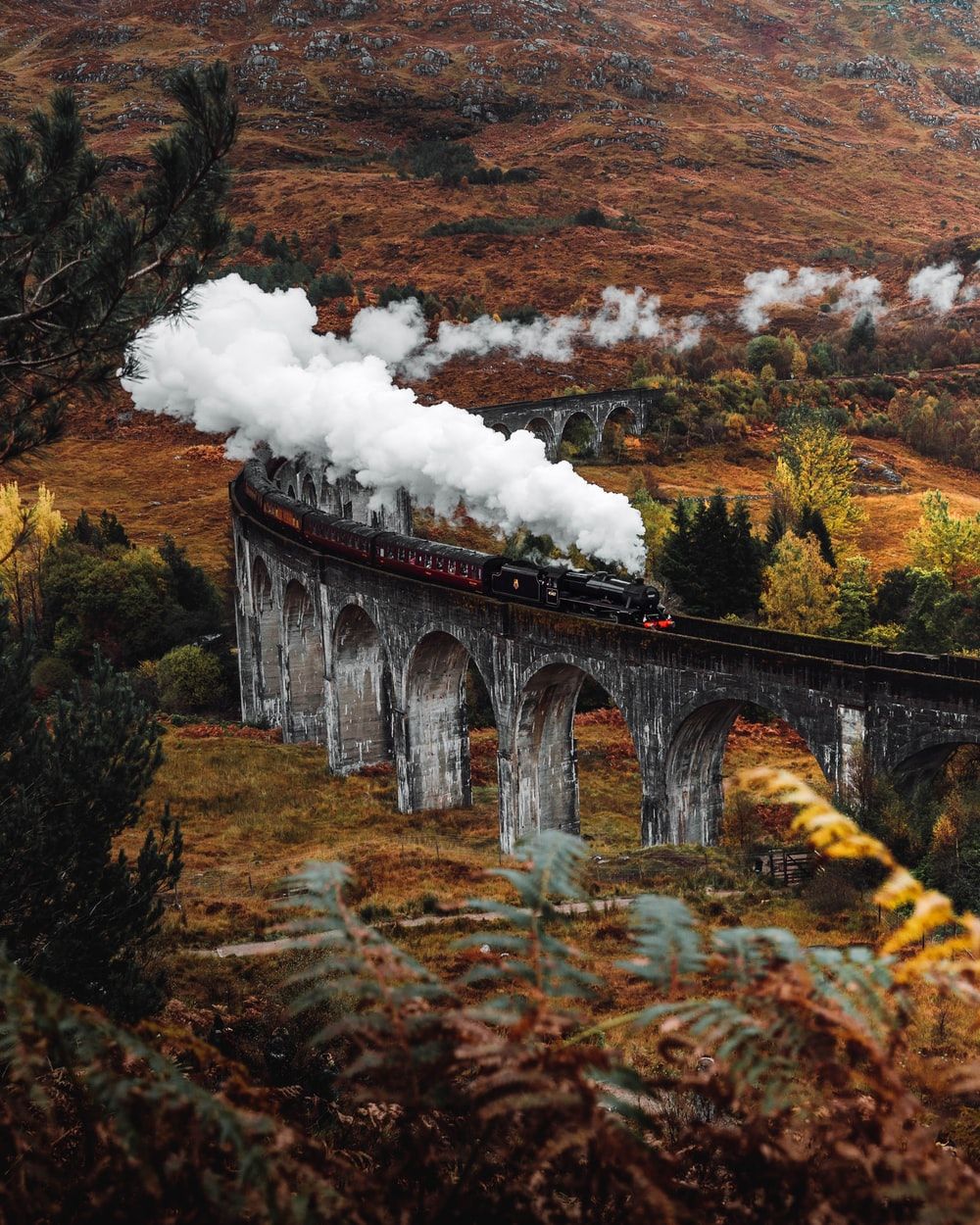1000x1250 Harry Potter Autumn Pictures | Download Free Images on Unsplash