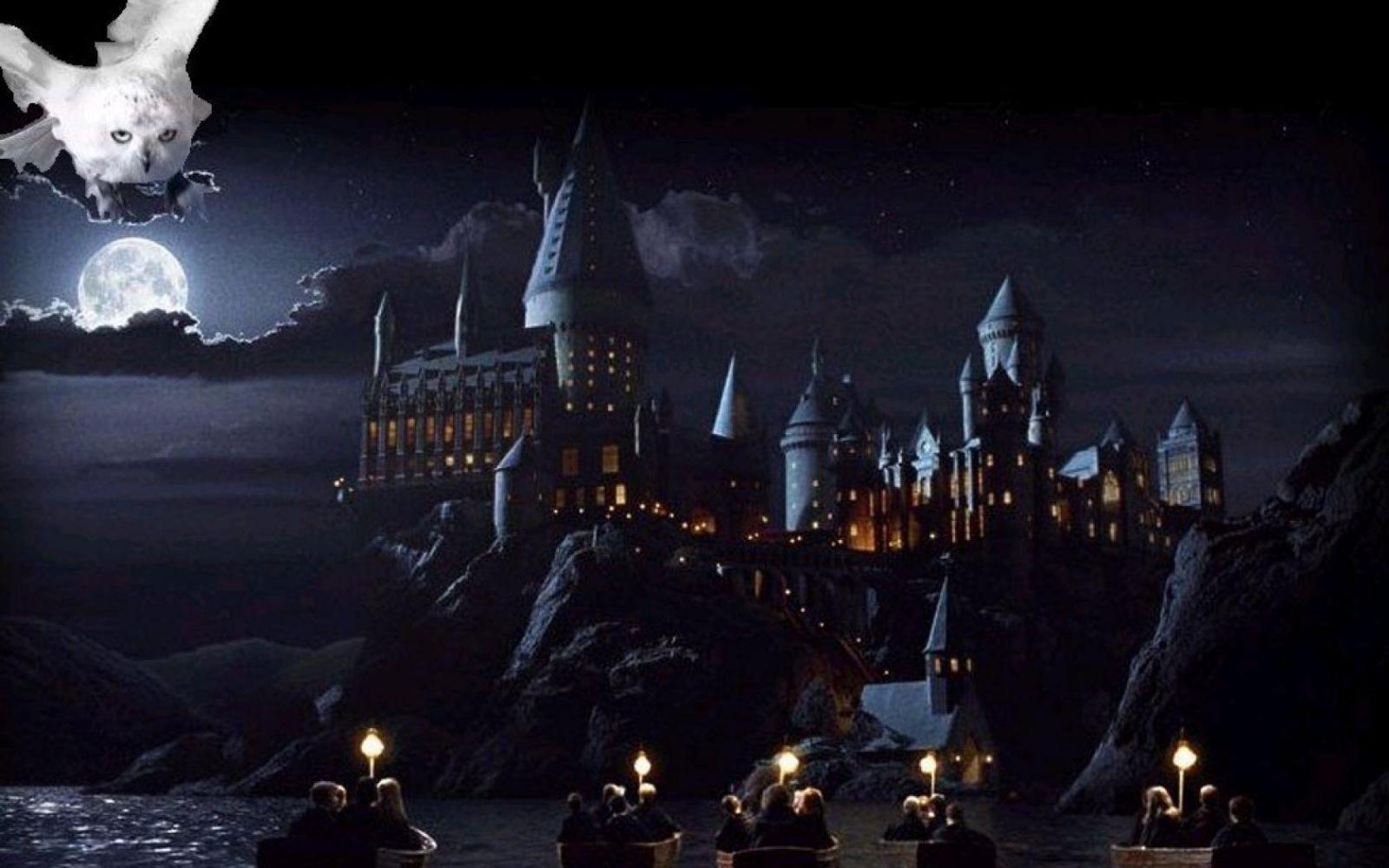 1680x1050 Harry Potter Desktop Wallpaper Hd - Harry Potter Wallpaper