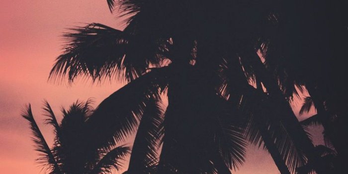 736x1308 9 Summer Sunset iPhone Wallpapers To Kill That Winter Depression