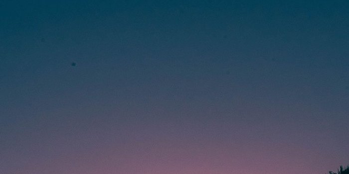 736x1308 Summer Sunset iPhone Wallpaper ☆ Download it at www