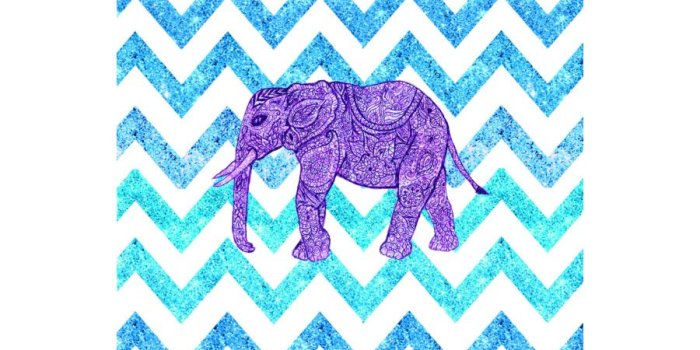 900x900 Free download Girly Patterns Tumblr Viewing gallery for girly