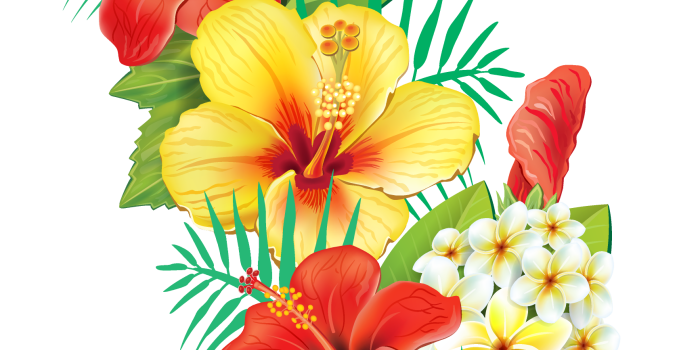 1734x4839 28 Exotic Clipart mexican flower Free Clip Art stock illustrations
