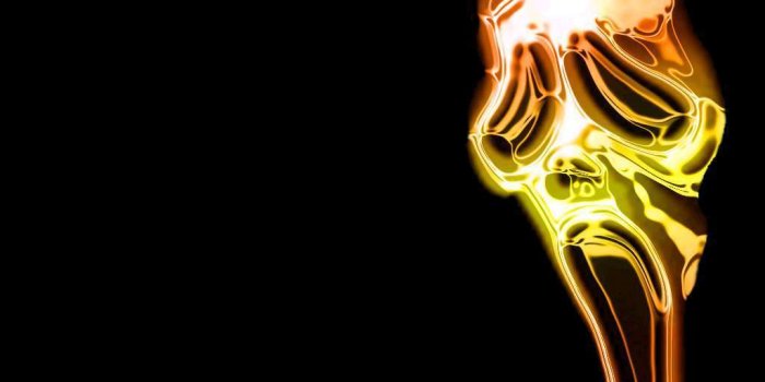 1024x768 Ghostface Wallpapers